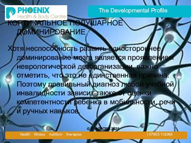 The Developmental Profile КОРТИКАЛЬНОЕ ПОЛУШАРНОЕ ДОМИНИРОВАНИЕ Хотя неспособность развить одностороннее доминирование