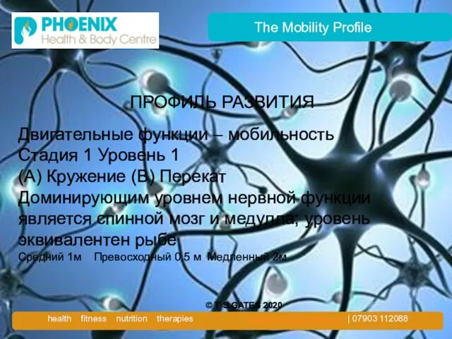 The Mobility Profile ПРОФИЛЬ РАЗВИТИЯ Двигательные функции – мобильность Стадия 1