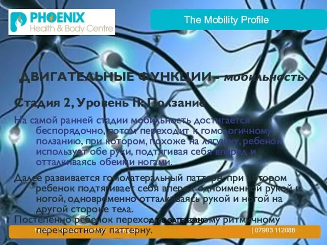 The Mobility Profile ДВИГАТЕЛЬНЫЕ ФУНКЦИИ - мобильность Стадия 2, Уровень II: