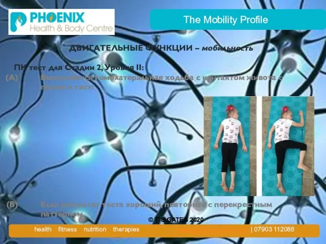 The Mobility Profile ДВИГАТЕЛЬНЫЕ ФУНКЦИИ – мобильность ПК тест для Стадии