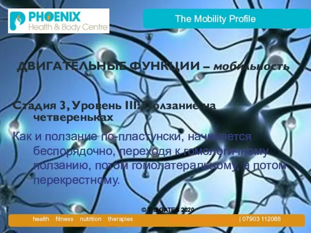 The Mobility Profile ДВИГАТЕЛЬНЫЕ ФУНКЦИИ – мобильность Стадия 3, Уровень III:
