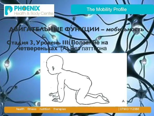 The Mobility Profile ДВИГАТЕЛЬНЫЕ ФУНКЦИИ – мобильность Стадия 3, Уровень III: