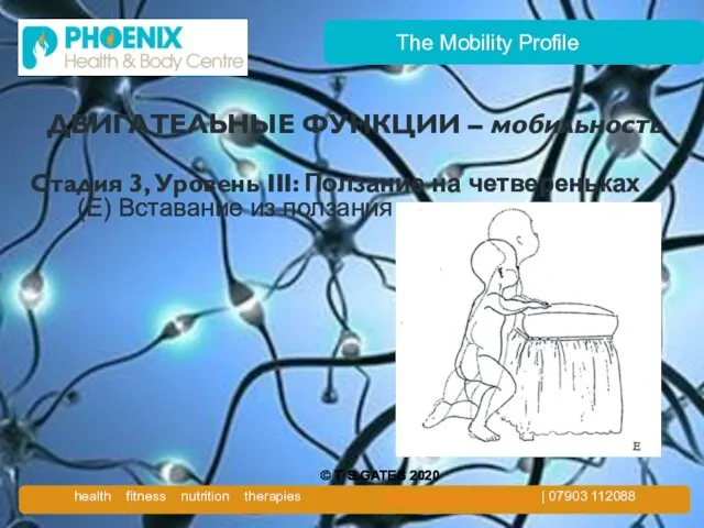 The Mobility Profile ДВИГАТЕЛЬНЫЕ ФУНКЦИИ – мобильность Стадия 3, Уровень III: