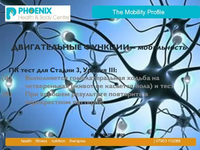 The Mobility Profile ДВИГАТЕЛЬНЫЕ ФУНКЦИИ – мобильность ПК тест для Стадии