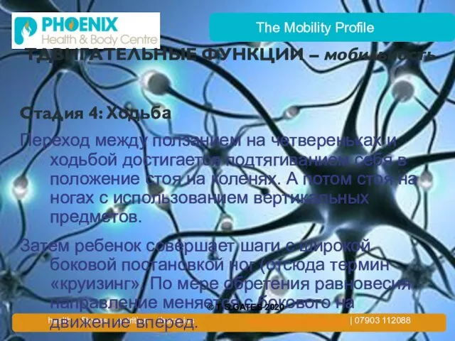 The Mobility Profile TДВИГАТЕЛЬНЫЕ ФУНКЦИИ – мобильность Стадия 4: Ходьба Переход