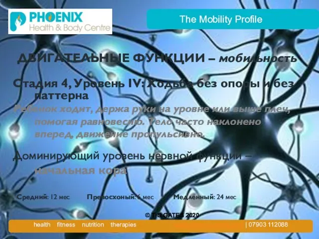 The Mobility Profile ДВИГАТЕЛЬНЫЕ ФУНКЦИИ – мобильность Стадия 4, Уровень IV: