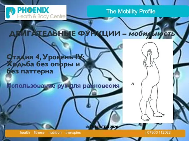 The Mobility Profile ДВИГАТЕЛЬНЫЕ ФУНКЦИИ – мобильность Стадия 4, Уровень IV: