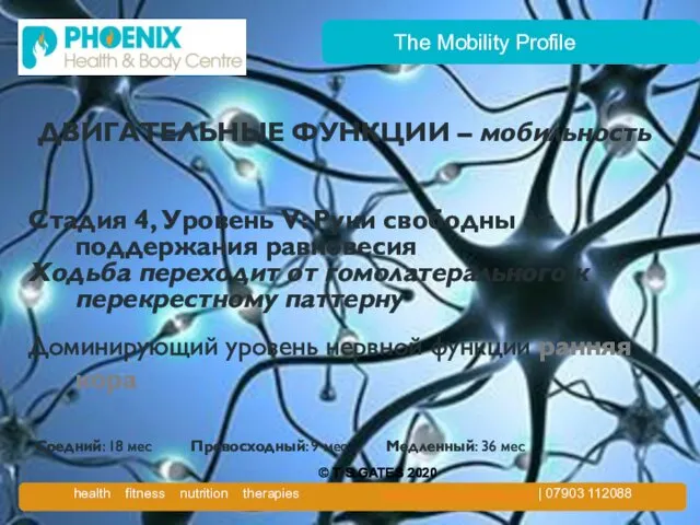 The Mobility Profile ДВИГАТЕЛЬНЫЕ ФУНКЦИИ – мобильность Стадия 4, Уровень V: