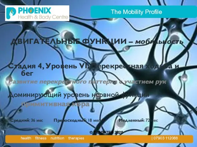 The Mobility Profile ДВИГАТЕЛЬНЫЕ ФУНКЦИИ – мобильность Стадия 4, Уровень VI: