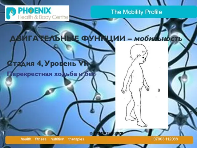 The Mobility Profile ДВИГАТЕЛЬНЫЕ ФУНКЦИИ – мобильность Стадия 4, Уровень VI: