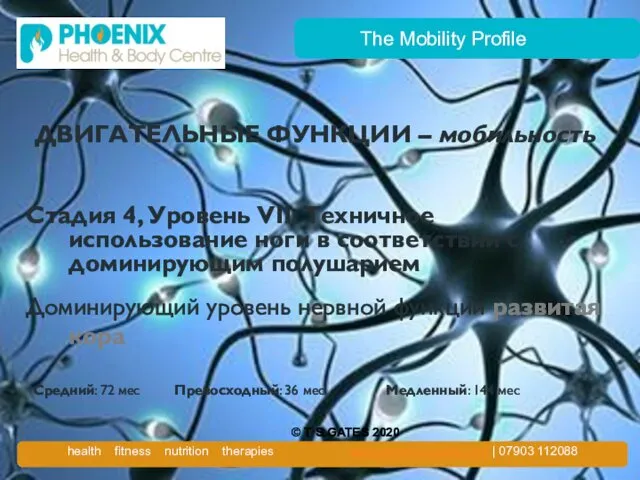 The Mobility Profile ДВИГАТЕЛЬНЫЕ ФУНКЦИИ – мобильность Стадия 4, Уровень VII: