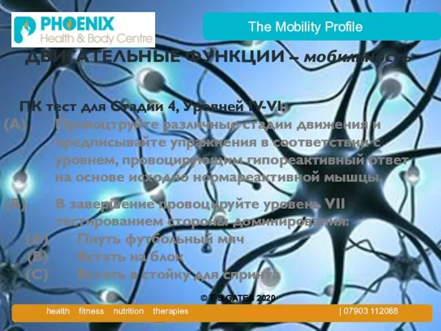 The Mobility Profile ДВИГАТЕЛЬНЫЕ ФУНКЦИИ – мобильность ПК тест для Стадии