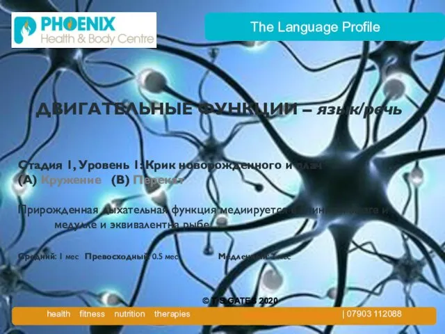 The Language Profile ДВИГАТЕЛЬНЫЕ ФУНКЦИИ – язык/речь Стадия 1, Уровень 1: