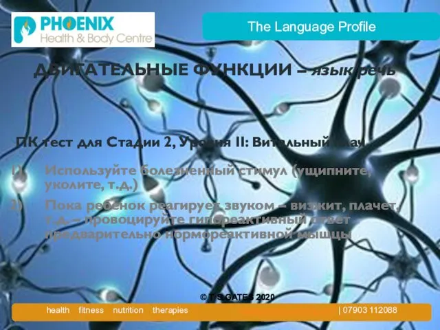 The Language Profile ДВИГАТЕЛЬНЫЕ ФУНКЦИИ – язык/речь ПК тест для Стадии