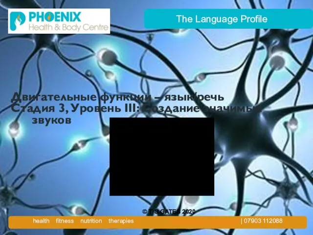 The Language Profile Двигательные функции – язык/речь Стадия 3, Уровень III: