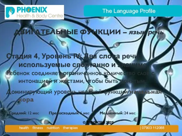 The Language Profile ДВИГАТЕЛЬНЫЕ ФУНКЦИИ – язык/речь Стадия 4, Уровень IV: