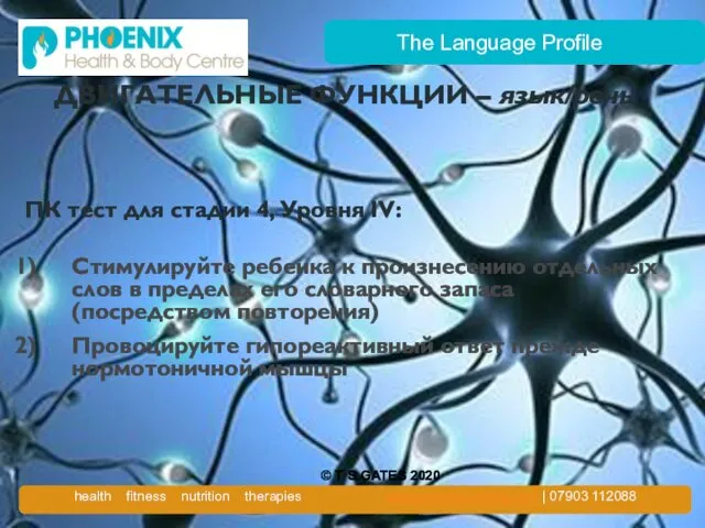 The Language Profile ДВИГАТЕЛЬНЫЕ ФУНКЦИИ – язык/речь ПК тест для стадии