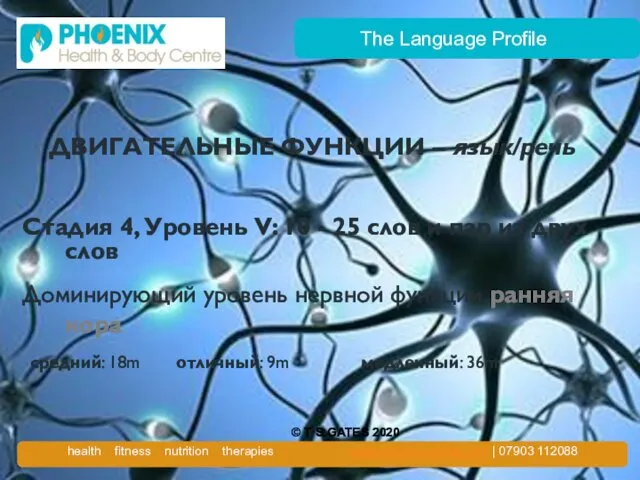 The Language Profile ДВИГАТЕЛЬНЫЕ ФУНКЦИИ – язык/речь Стадия 4, Уровень V: