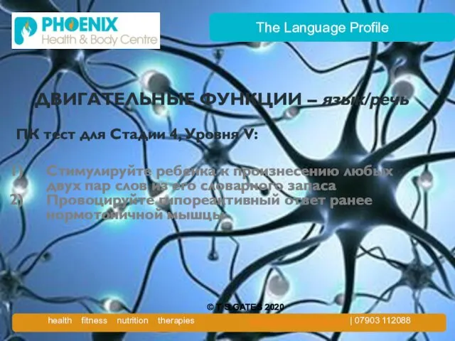 The Language Profile ДВИГАТЕЛЬНЫЕ ФУНКЦИИ – язык/речь ПК тест для Стадии