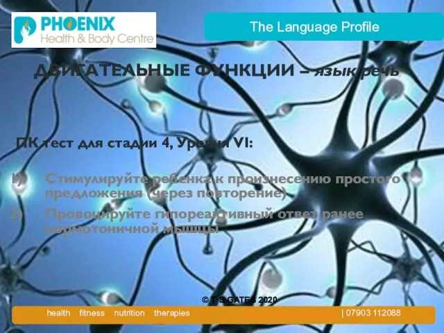 The Language Profile ДВИГАТЕЛЬНЫЕ ФУНКЦИИ – язык/речь ПК тест для стадии