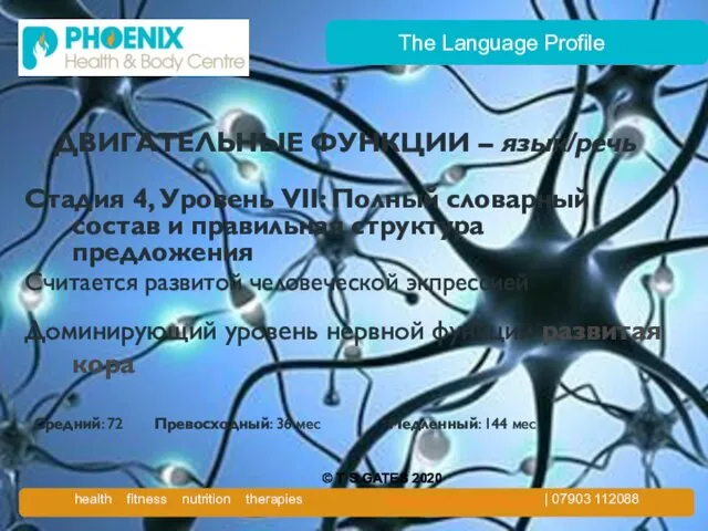 The Language Profile ДВИГАТЕЛЬНЫЕ ФУНКЦИИ – язык/речь Стадия 4, Уровень VII: