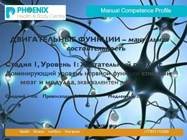 Manual Competence Profile ДВИГАТЕЛЬНЫЕ ФУНКЦИИ – мануальная состоятельность Стадия 1, Уровень