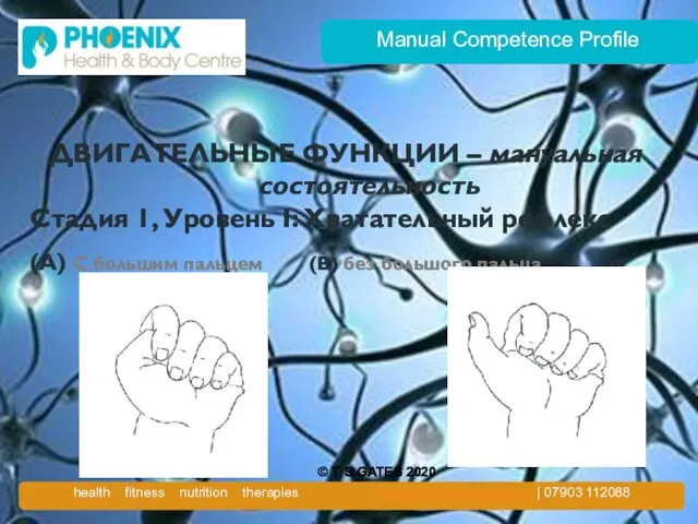 Manual Competence Profile ДВИГАТЕЛЬНЫЕ ФУНКЦИИ – мануальная состоятельность Стадия 1, Уровень