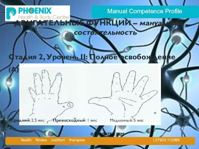 Manual Competence Profile ДВИГАТЕЛЬНЫЕ ФУНКЦИИ – мануальная состоятельность Стадия 2, Уровень