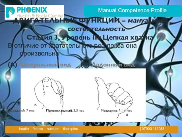 Manual Competence Profile ДВИГАТЕЛЬНЫЕ ФУНКЦИИ – мануальная состоятельность Стадия 3, Уровень