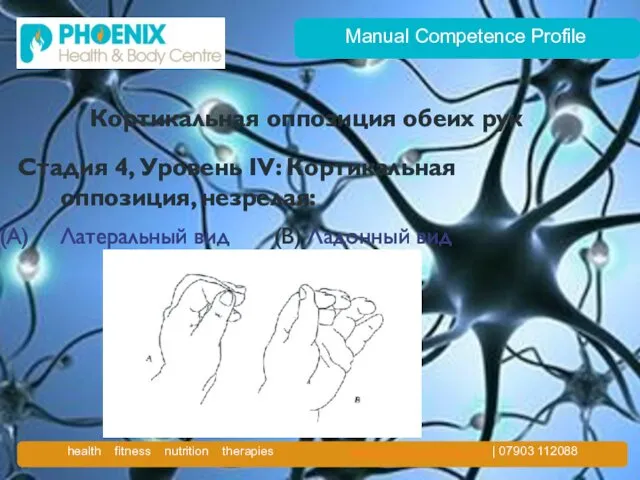 Manual Competence Profile Кортикальная оппозиция обеих рук Стадия 4, Уровень IV: