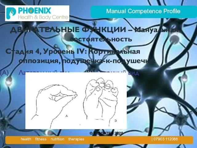 Manual Competence Profile ДВИГАТЕЛЬНЫЕ ФУНКЦИИ – Мануальная состоятельность Стадия 4, Уровень