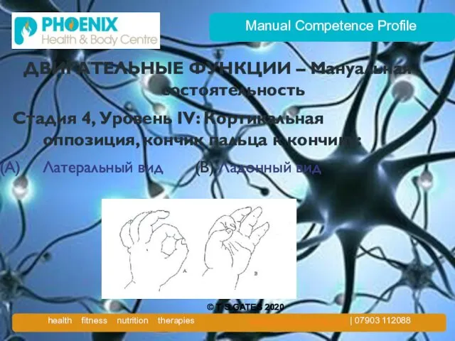 Manual Competence Profile ДВИГАТЕЛЬНЫЕ ФУНКЦИИ – Мануальная состоятельность Стадия 4, Уровень