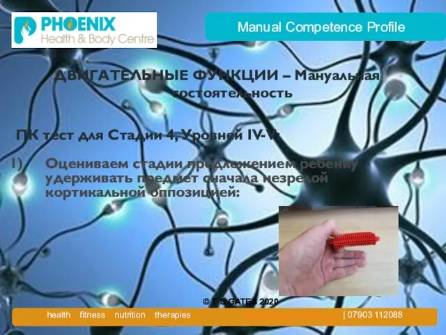 Manual Competence Profile ДВИГАТЕЛЬНЫЕ ФУНКЦИИ – Мануальная состоятельность ПК тест для