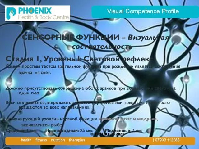 Visual Competence Profile СЕНСОРНЫЕ ФУНКЦИИ – Визуальная состоятельность Стадия 1, Уровень