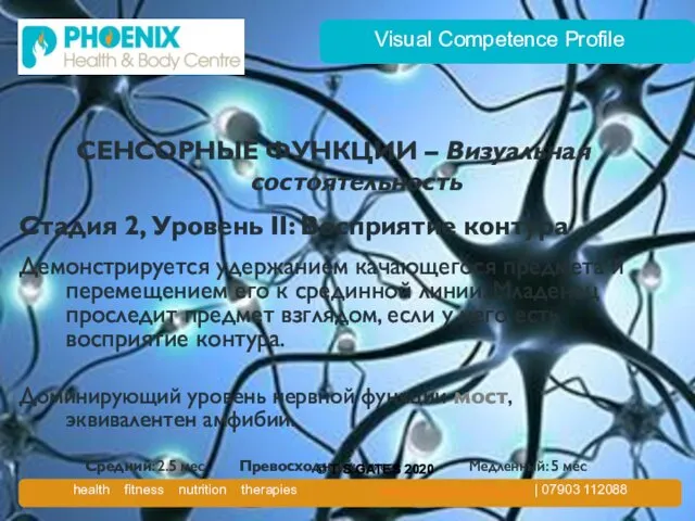 Visual Competence Profile СЕНСОРНЫЕ ФУНКЦИИ – Визуальная состоятельность Стадия 2, Уровень