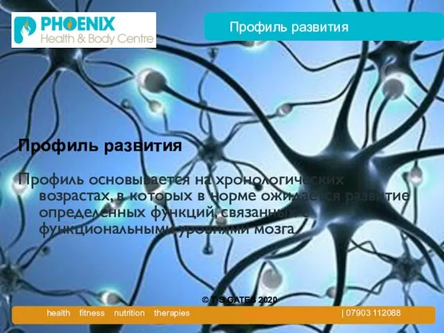 Профиль развития Профиль развития Профиль основывается на хронологических возрастах, в которых