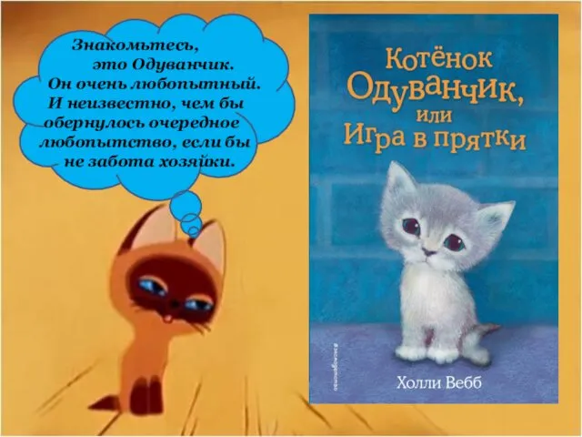 Знакомьтесь, это Одуванчик. Он очень любопытный. И неизвестно, чем бы обернулось