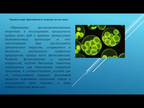 Химический, биогенный и газовый состав воды Образование высокоорганизованных вторичных и последующих