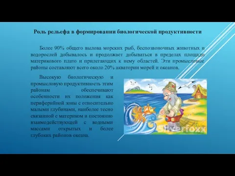 Роль рельефа в формировании биологической продуктивности Более 90% общего вылова морских