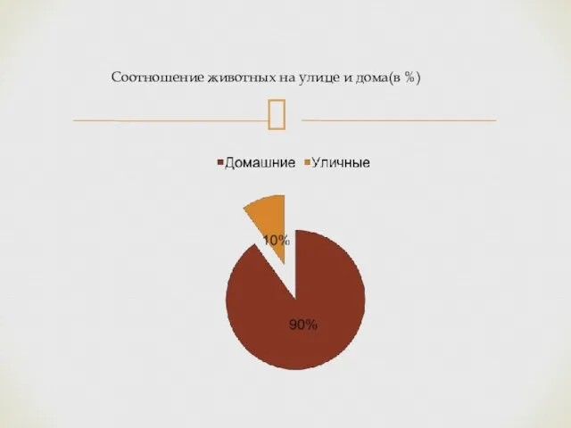 Соотношение животных на улице и дома(в %)