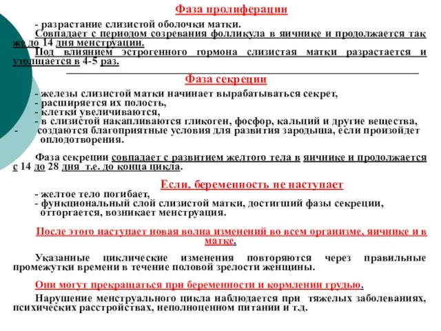 Фаза пролиферации - разрастание слизистой оболочки матки. Совпадает с периодом созревания