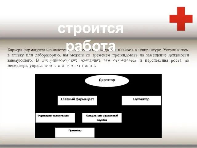 Карьера фармацевта начинается с получения необходимых навыков в аспирантуре. Устроившись в