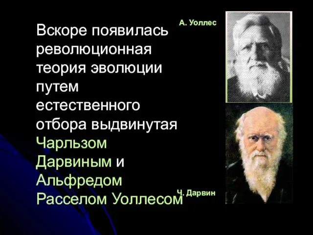 Вскоре появилась революционная теория эволюции путем естественного отбора выдвинутая Чарльзом Дарвиным