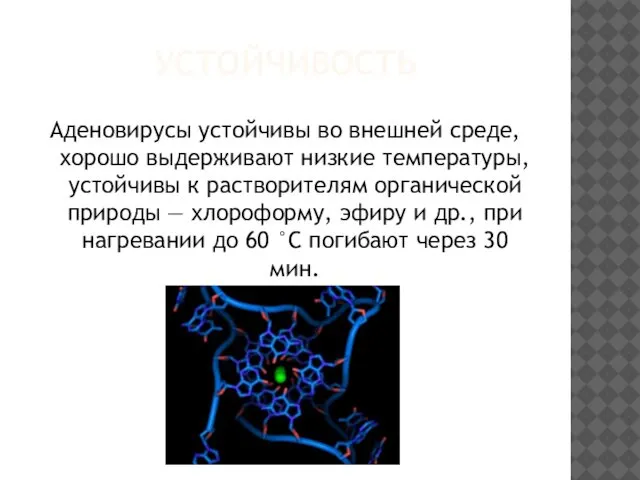 УСТОЙЧИВОСТЬ Аденовирусы устойчивы во внешней среде, хорошо выдерживают низкие температуры, устойчивы