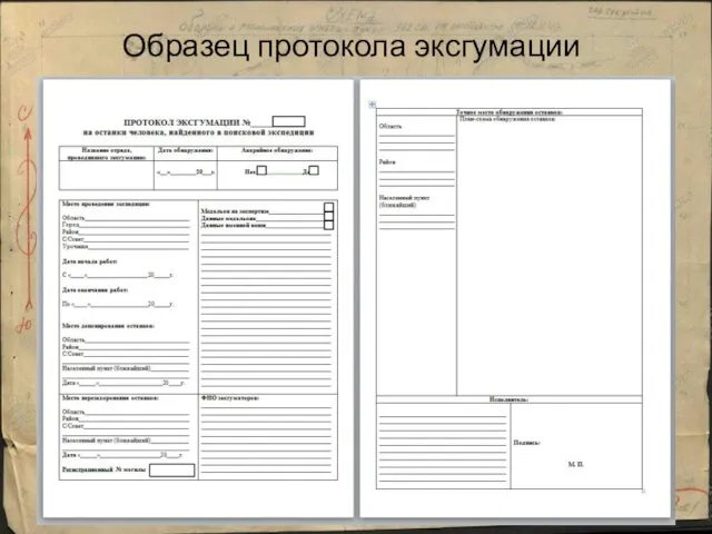 Образец протокола эксгумации