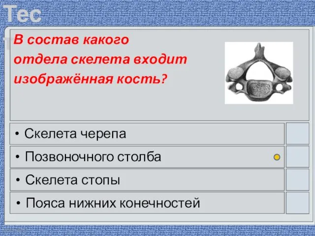 22.03.2016 В состав какого отдела скелета входит изображённая кость? Скелета черепа