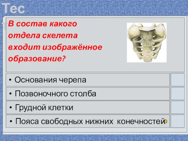 22.03.2016 В состав какого отдела скелета входит изображённое образование? Основания черепа