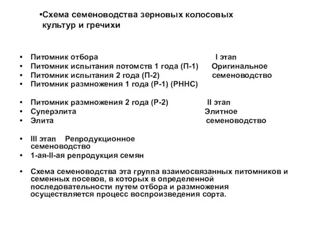 Питомник отбора I этап Питомник испытания потомств 1 года (П-1) Оригинальное