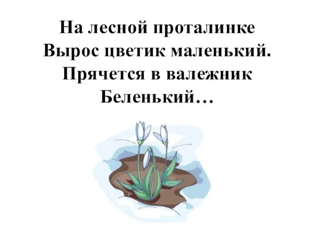 На лесной проталинке Вырос цветик маленький. Прячется в валежник Беленький…