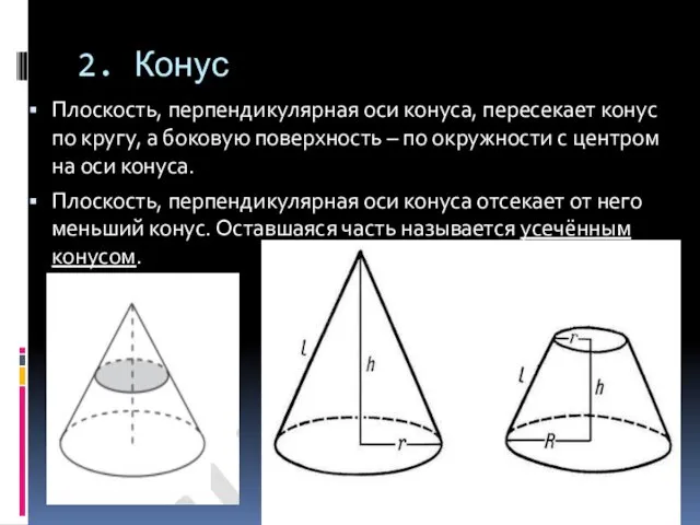 2. Конус Плоскость, перпендикулярная оси конуса, пересекает конус по кругу, а